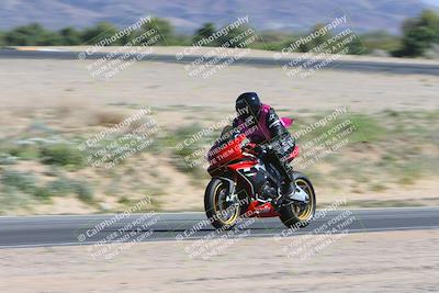 media/Apr-13-2024-SoCal Trackdays (Sat) [[f1617382bd]]/1-Back Straight Speed Pans (930am)/